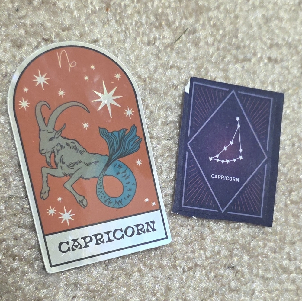 FREE w/ 2+ ITEMS | Capricorn Zodiac Stickers